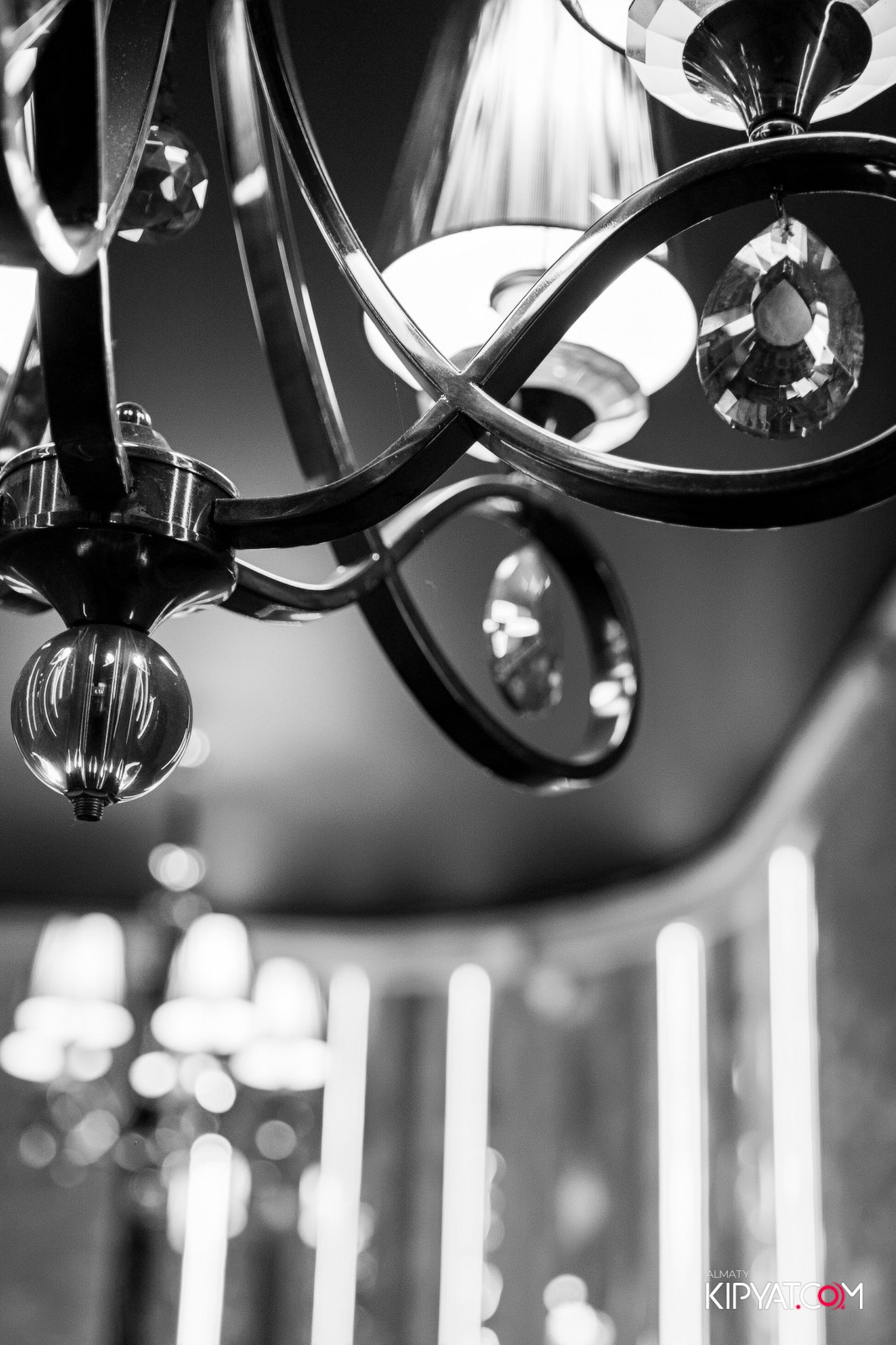 УХО И МЕДВЕДЬ НА ГАГАРИНА. КИПЯТКОМ АЛМАТЫ!