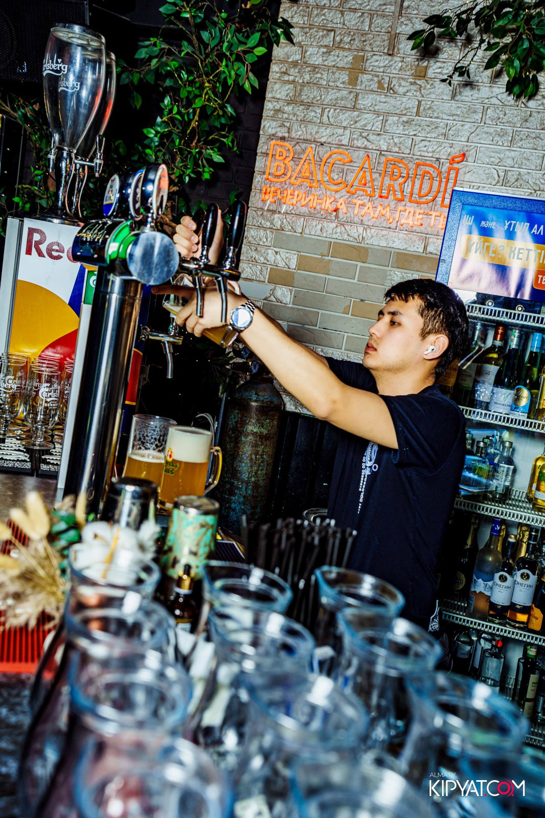 УХО И МЕДВЕДЬ НА САИНА. КИПЯТКОМ АЛМАТЫ!