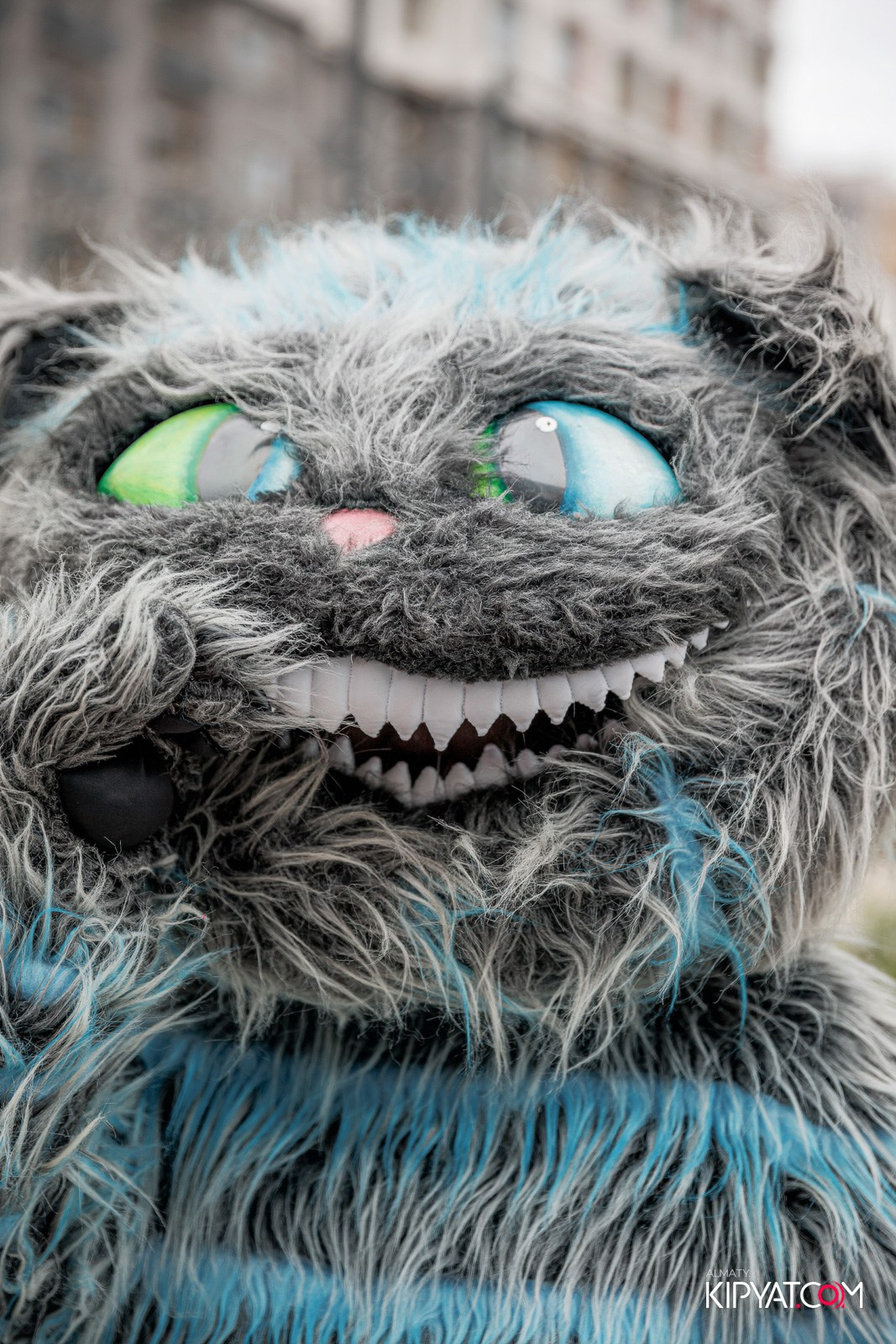 BI RUN 2025. КИПЯТКОМ АЛМАТЫ!