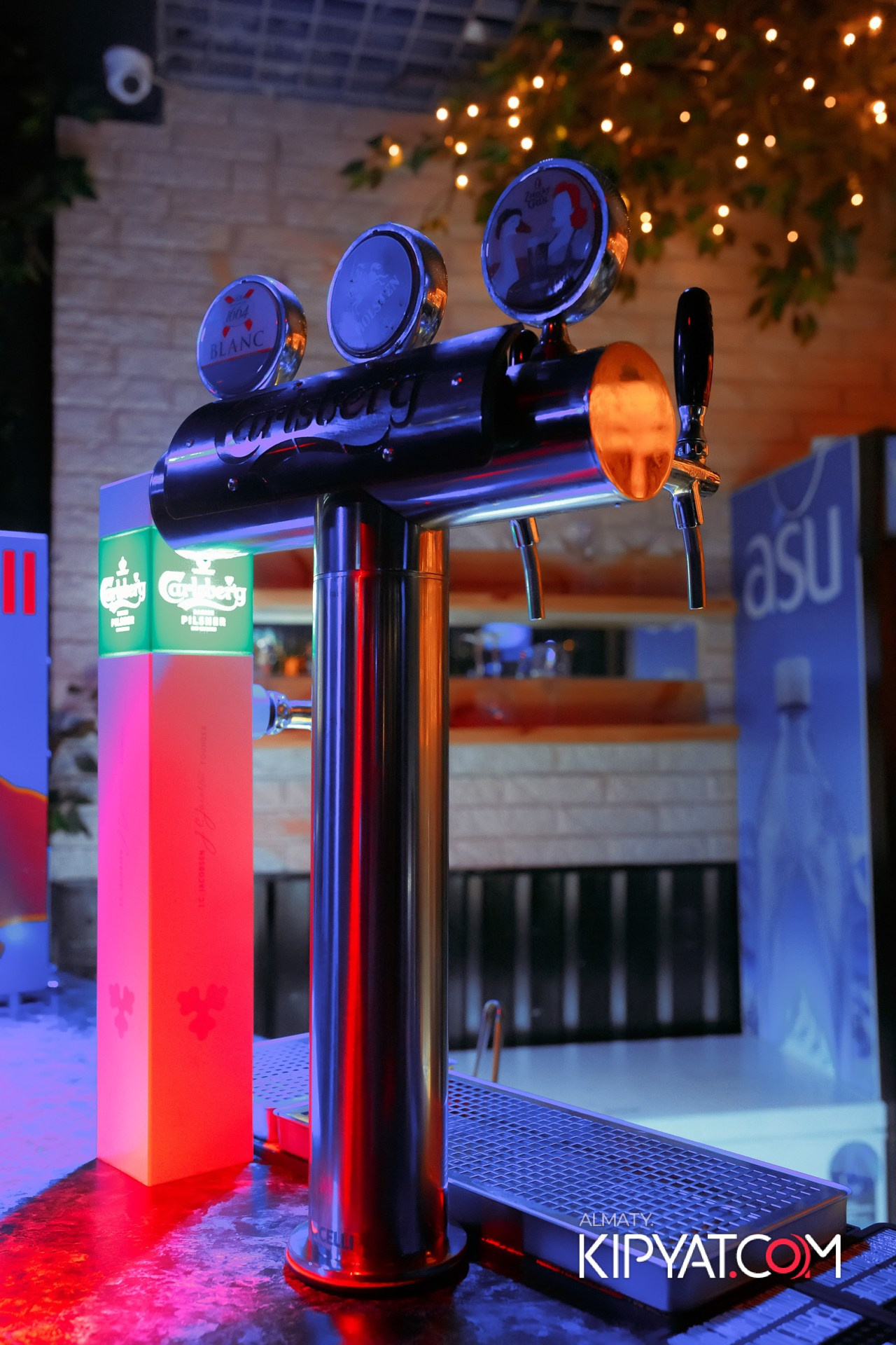 УХО И МЕДВЕДЬ НА САИНА. КИПЯТКОМ АЛМАТЫ!