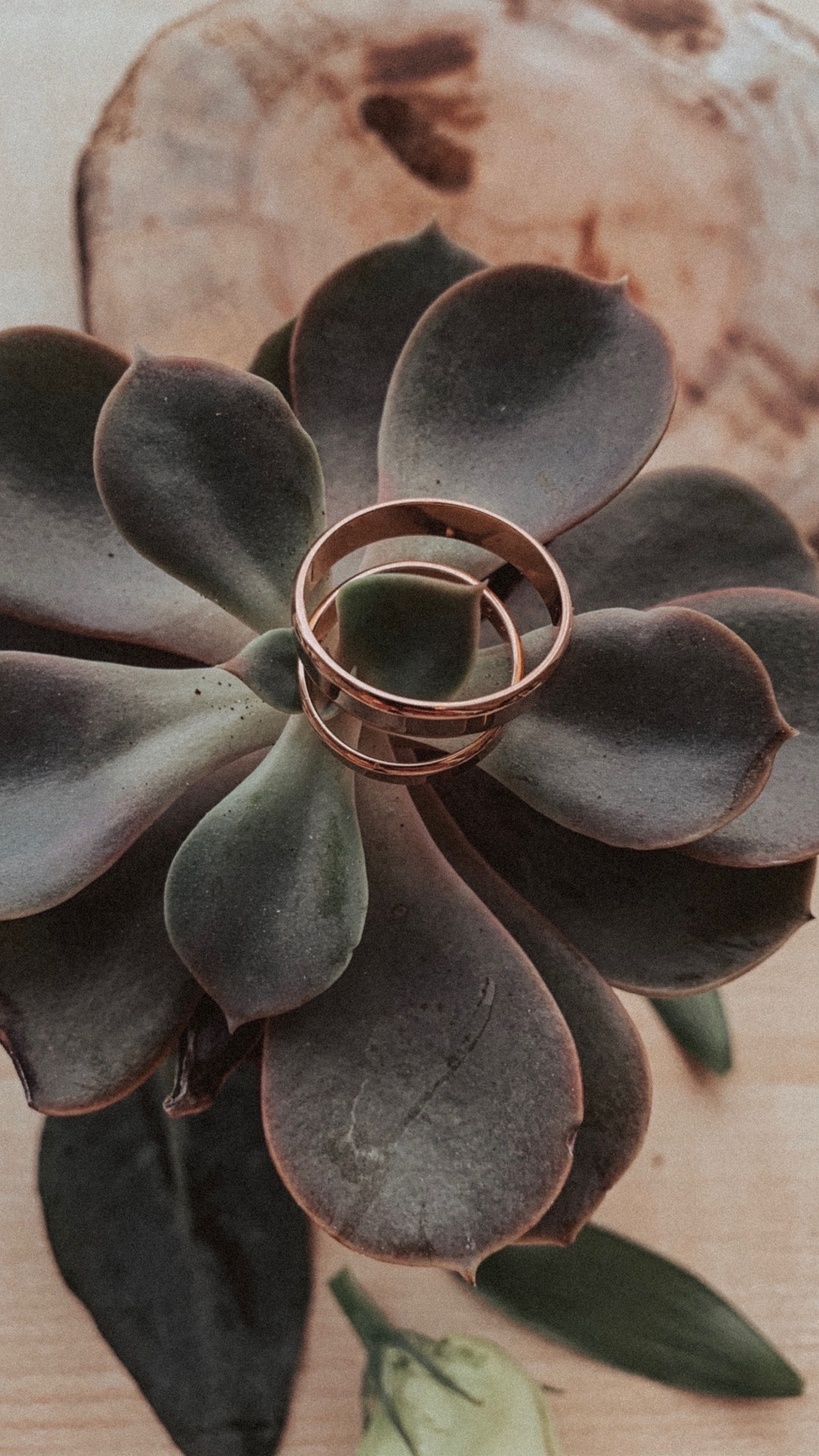 Полина&Валера. Фотограф в Санкт Петербурге и Москве Анастасия Сиволод