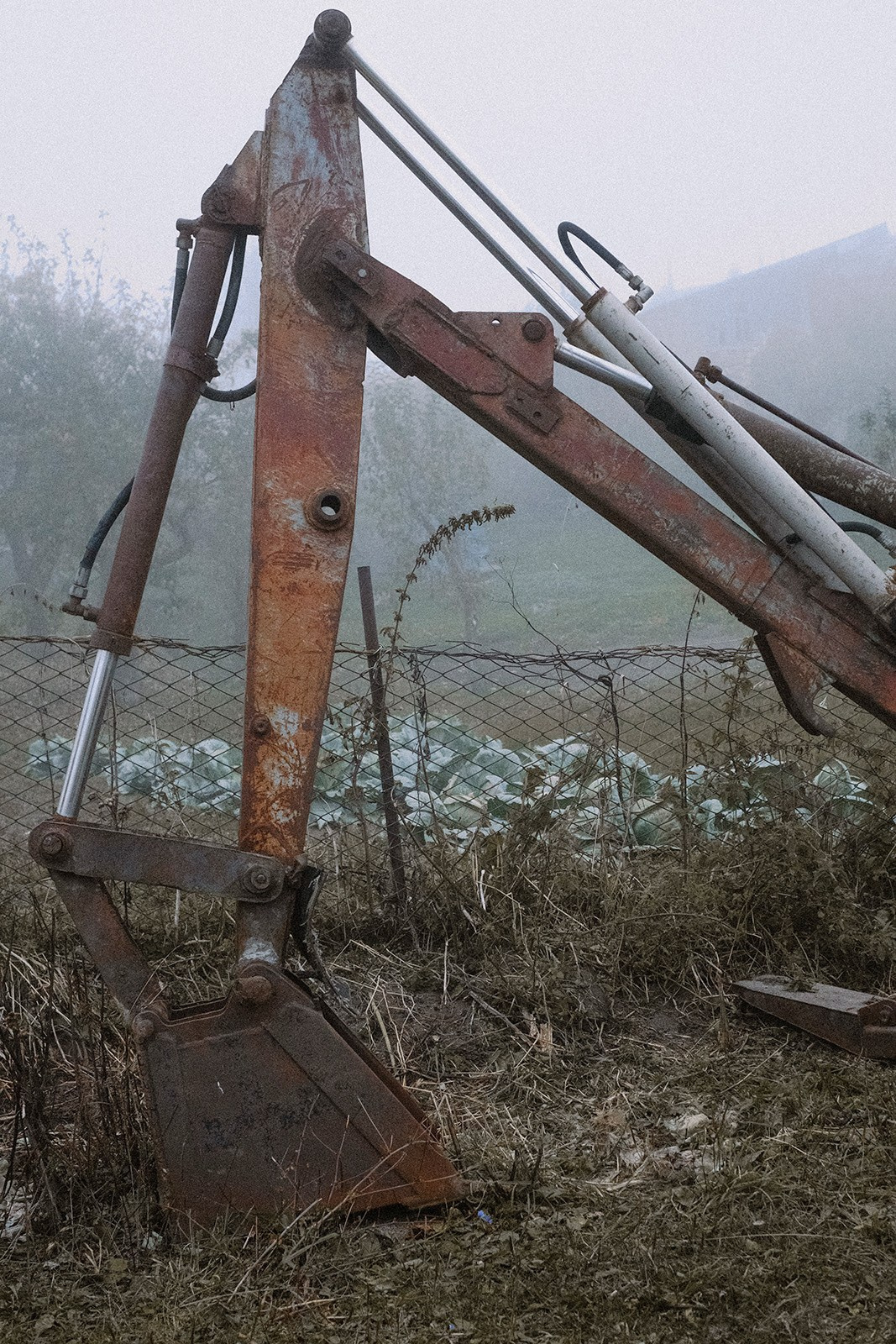 Prints. North Ossetia