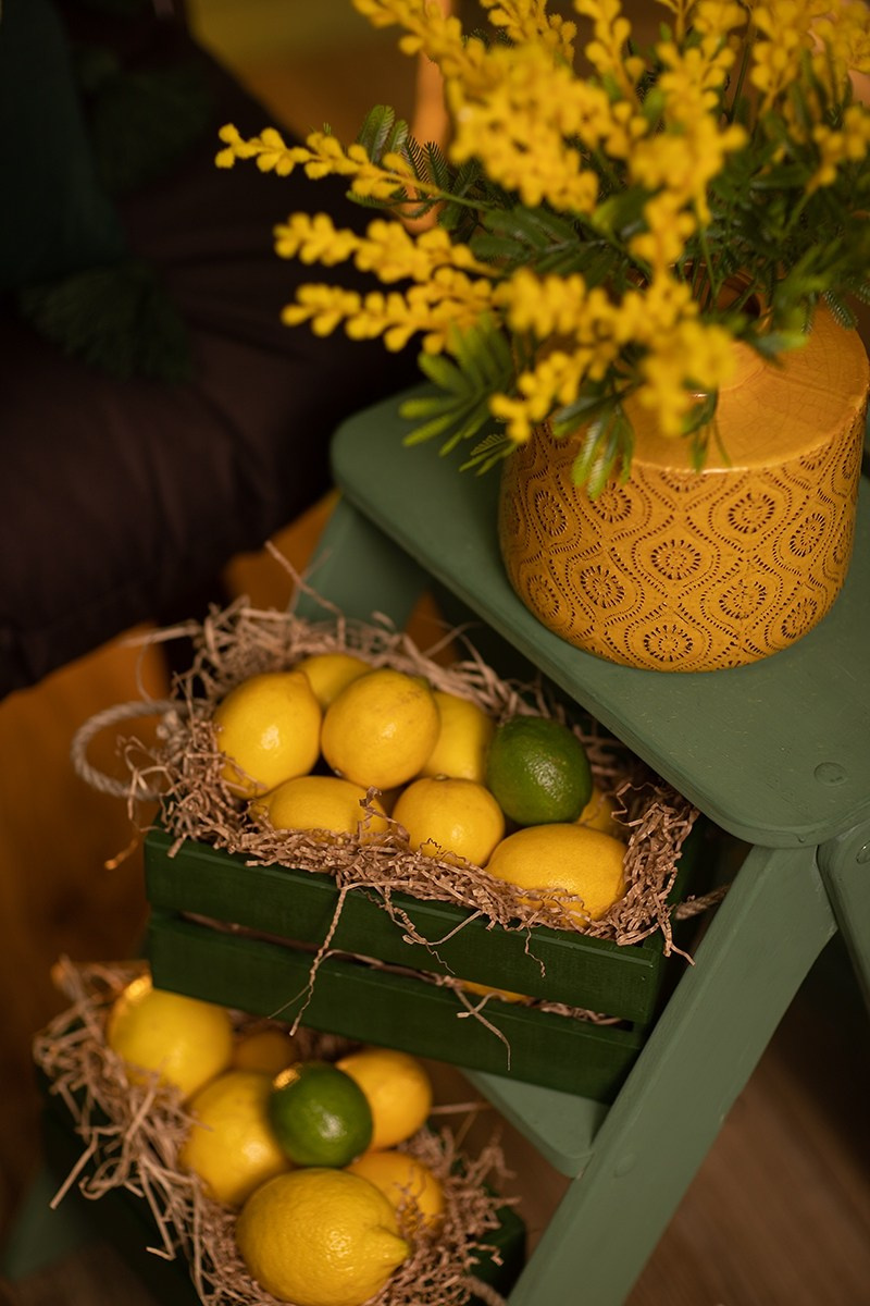 Green (Станке-Димитрова, 54а, БЦ Десна). Портретный, семейный, свадебный фотограф в Брянске Маргарита Василькова