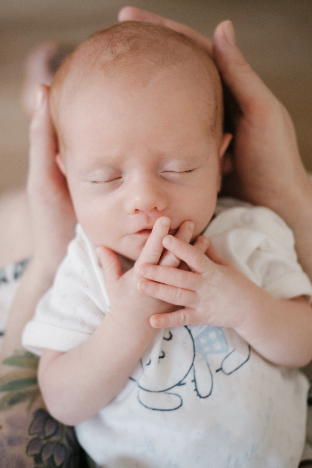 Family. Видеограф Фотограф в Сочи