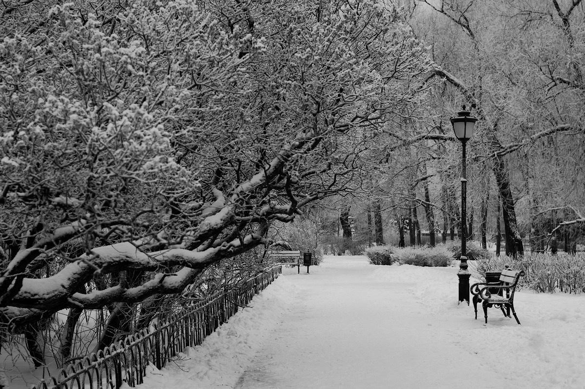 Пейзаж. Портретный фотограф в Москве Михаил Воронцов
