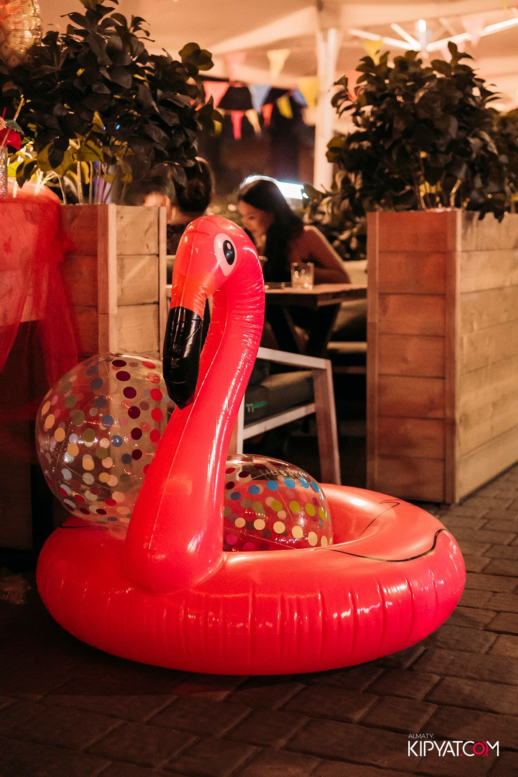 OLOVO BAR НА ДОСТЫК. КИПЯТКОМ АЛМАТЫ!