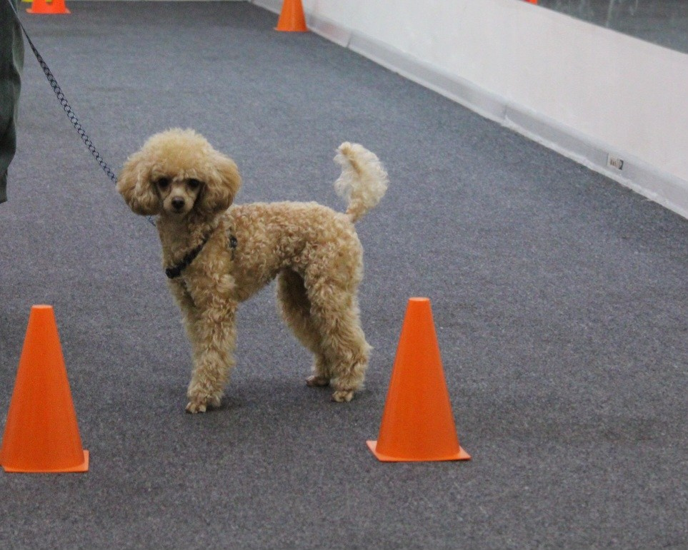 Репортаж УС «ДЦ Ральф». Катя Попова|ЛайфСтайл фотограф