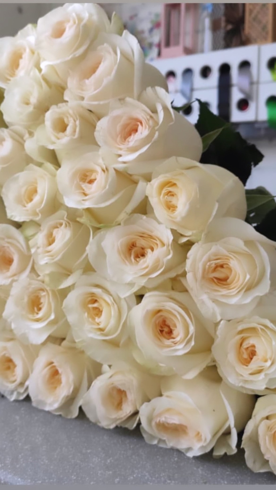 Эквадор. Арт Букет- цветочный дом в Челябинске и Ревде