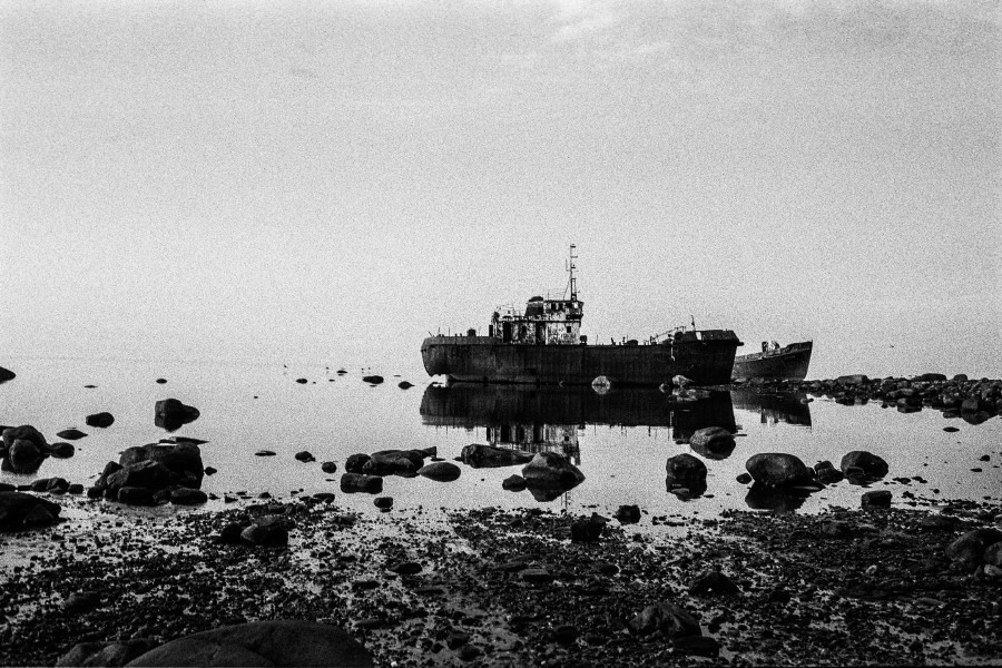 Summer Shore. Vitaly Severov