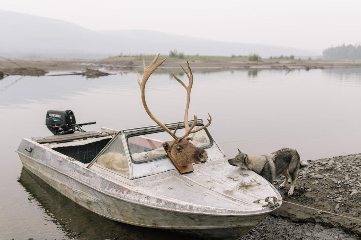 A stuffed deer head on a motor boat.
