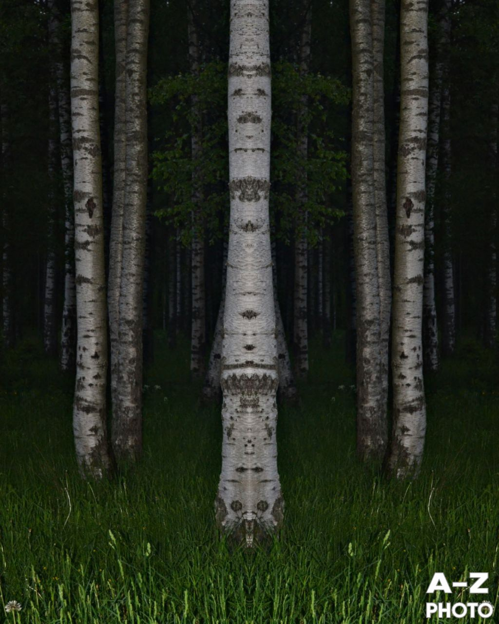 #ФОТОНЕДЕЛИ 01.06.2026