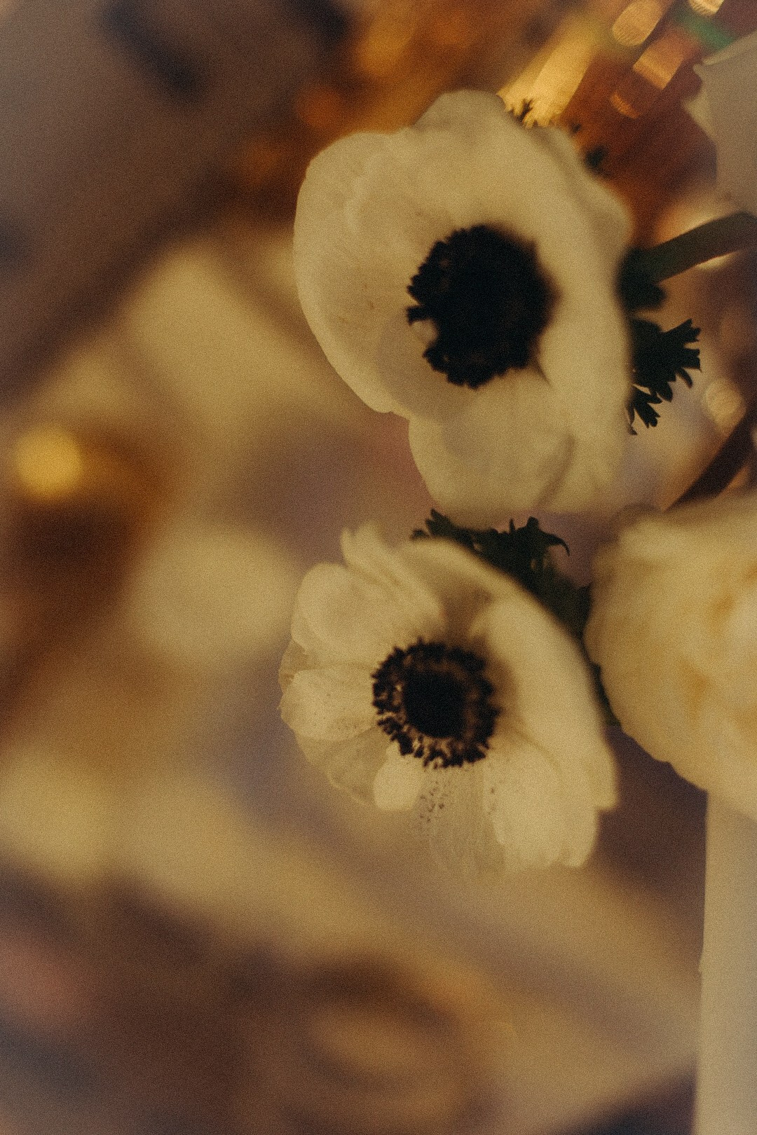 B-day. Фотограф Нижний Новгород