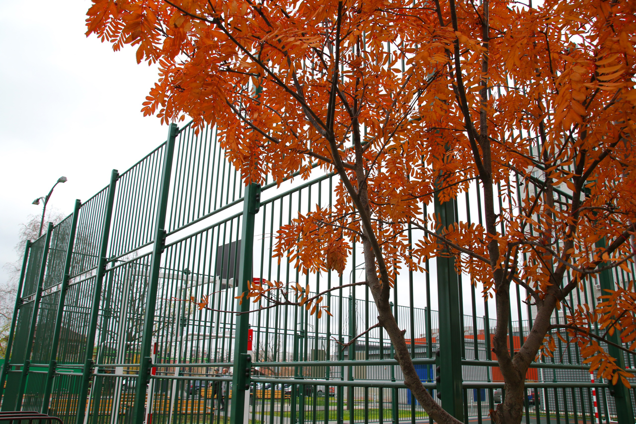 Городской пейзаж. Репортажный фотограф Анастасия Богданова из Тюмени