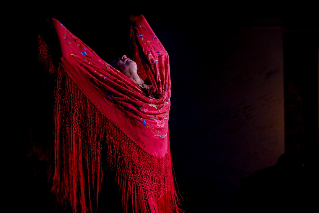 Flamenco 29.01.2023. Индивидуальные съемки, портретный фотограф