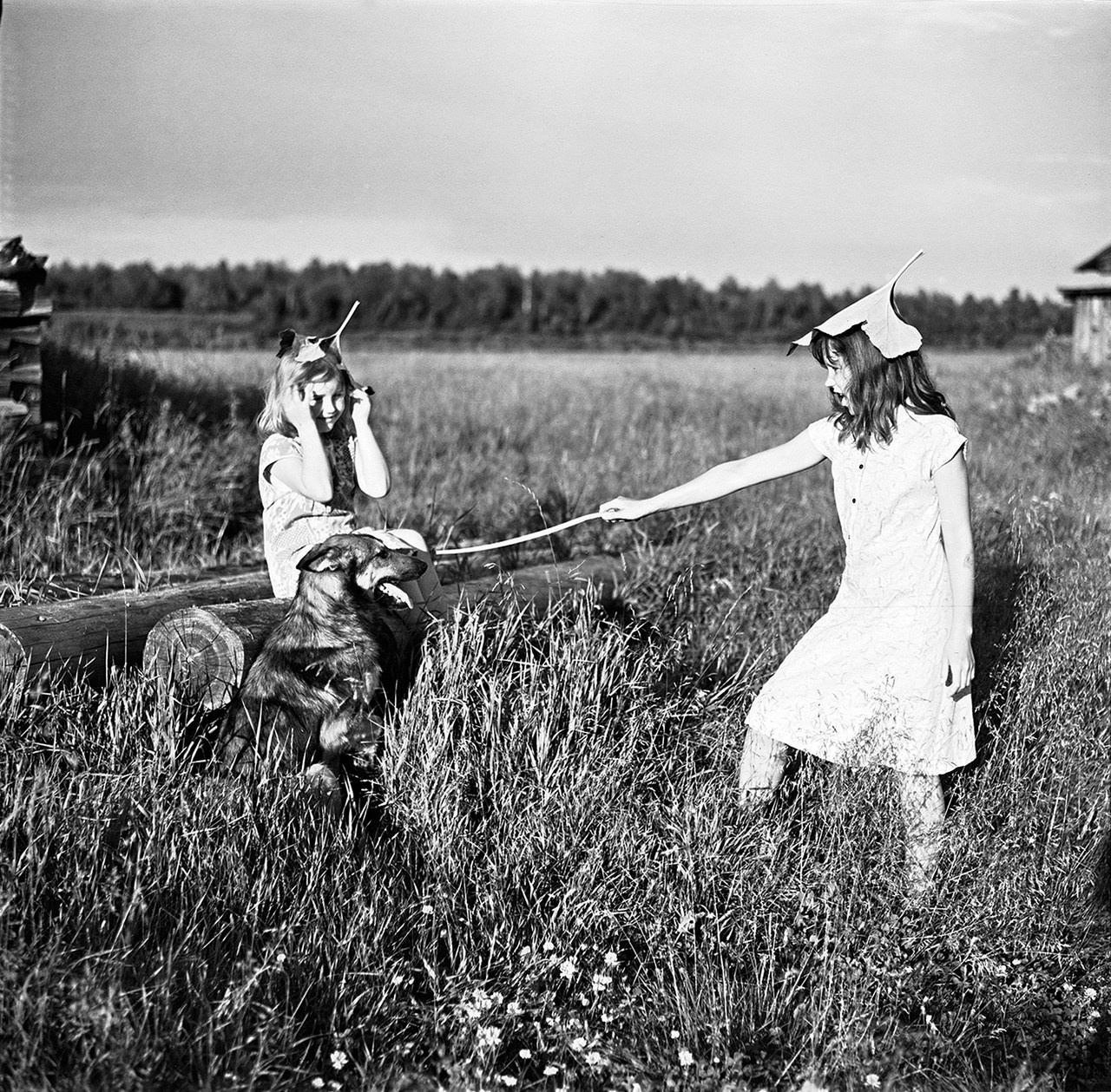 Было лето. Часть 1. ФОТОГРАФ ЛИЛИЯ БИЧУРИНА