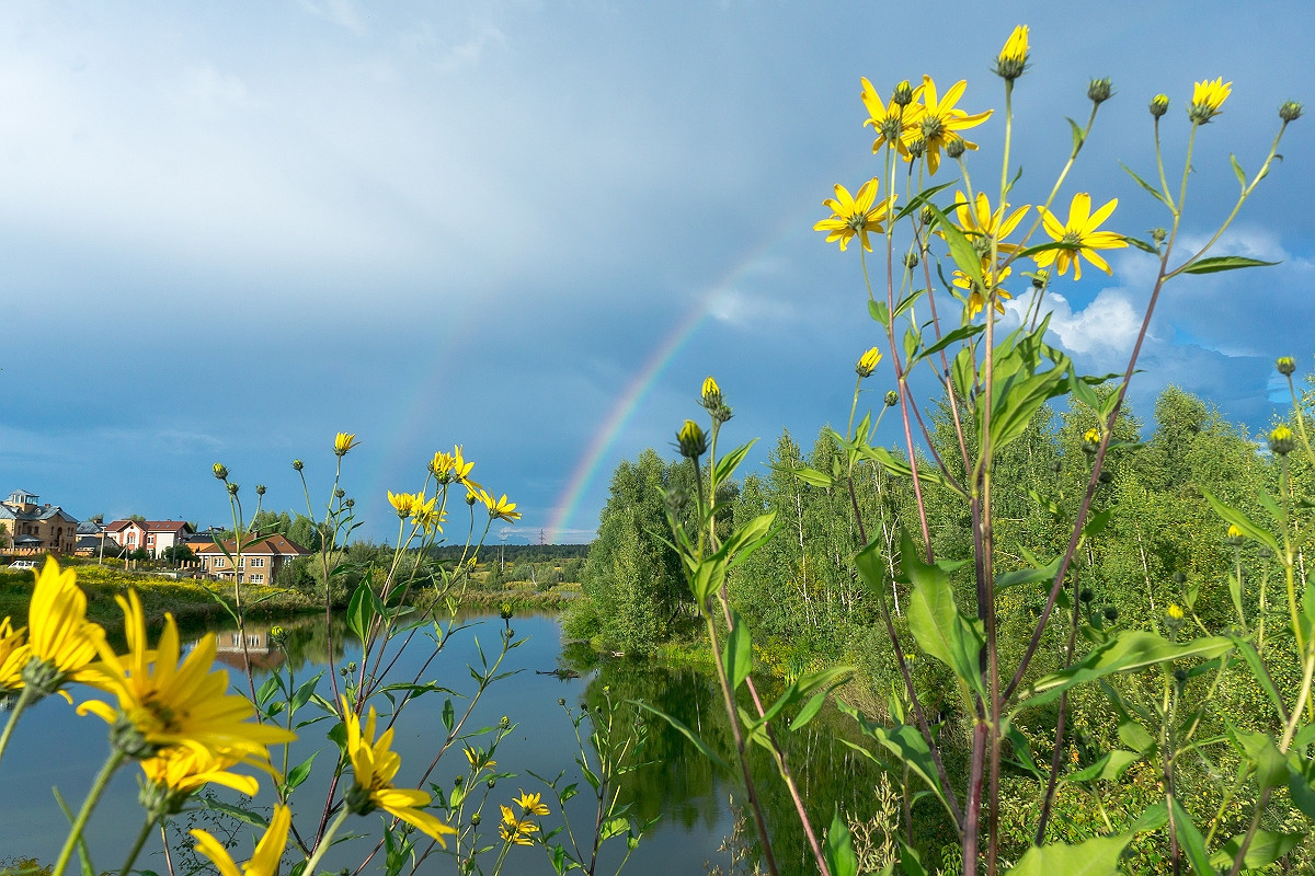 Лето в поселке Басово-Прудный и деревне Старое-Басово. Фотограф в Туле Крупский АнДРей. Фотостудия «КАДР71» в Туле