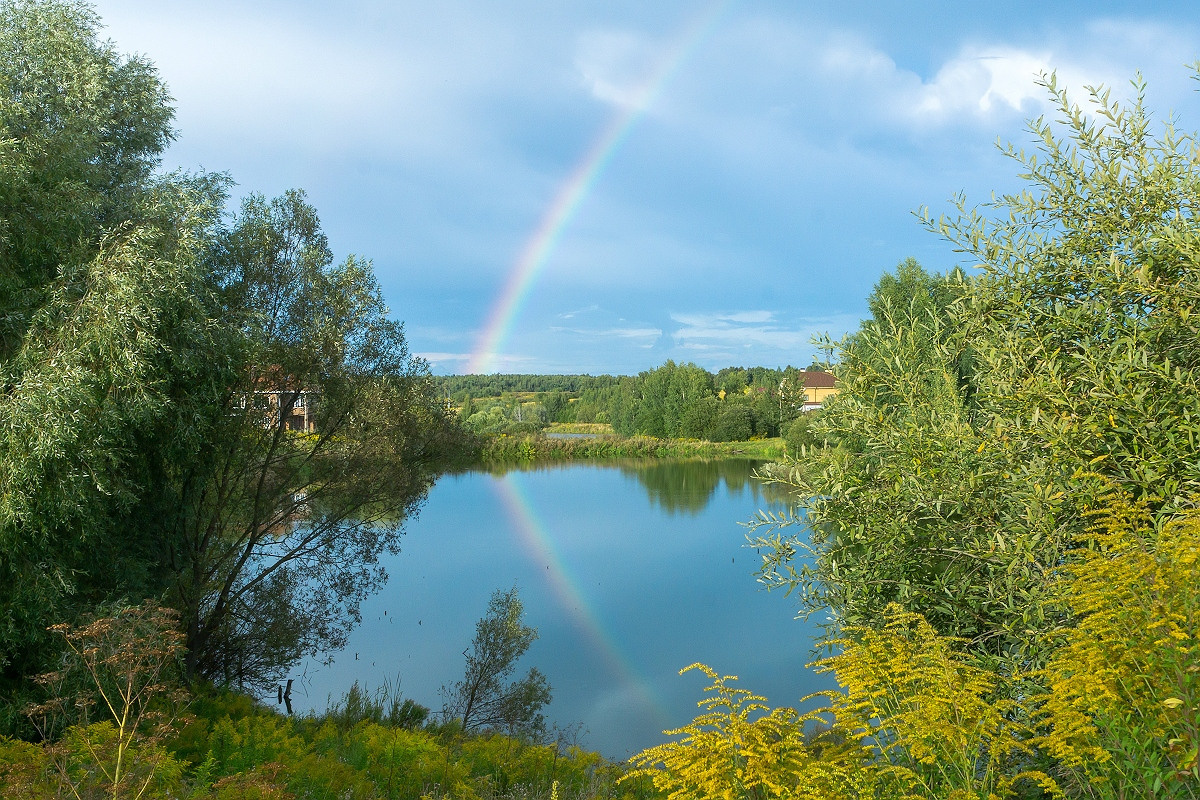 Лето в поселке Басово-Прудный и деревне Старое-Басово. Фотограф в Туле Крупский АнДРей. Фотостудия «КАДР71» в Туле