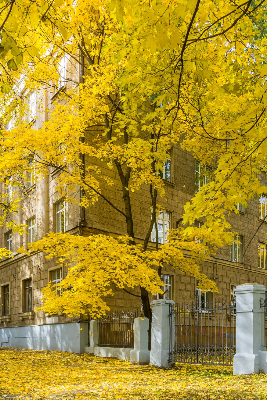 Тульский государственный университет (ТулГУ). Фотограф в Туле Крупский АнДРей. Фотостудия «КАДР71» в Туле