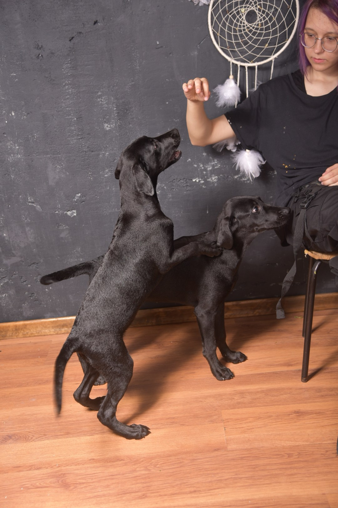 Лабродобрики. Фотограф Евгений Симохин