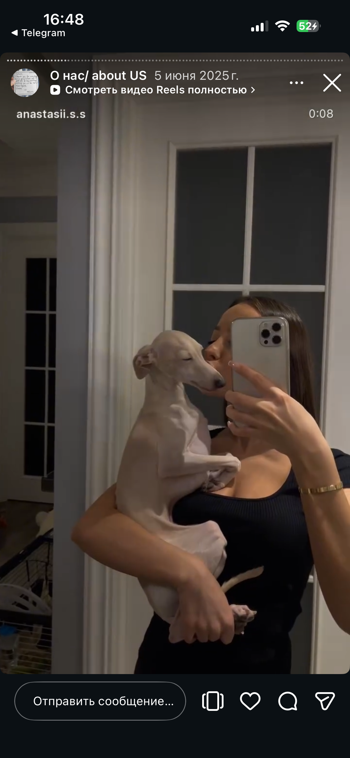 Отзывы от наших любимых владельцев. Профессиональный питомник левреток РКФ/FCI ASTI SAPPHIRE 💎 Сочи|Санкт-Петербург