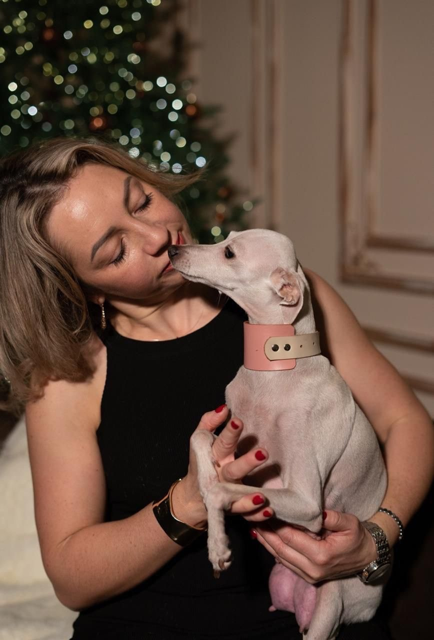 Casper boss & Clyde & Klaus. Профессиональный питомник левреток РКФ/FCI ASTI SAPPHIRE 💎 Сочи|Санкт-Петербург