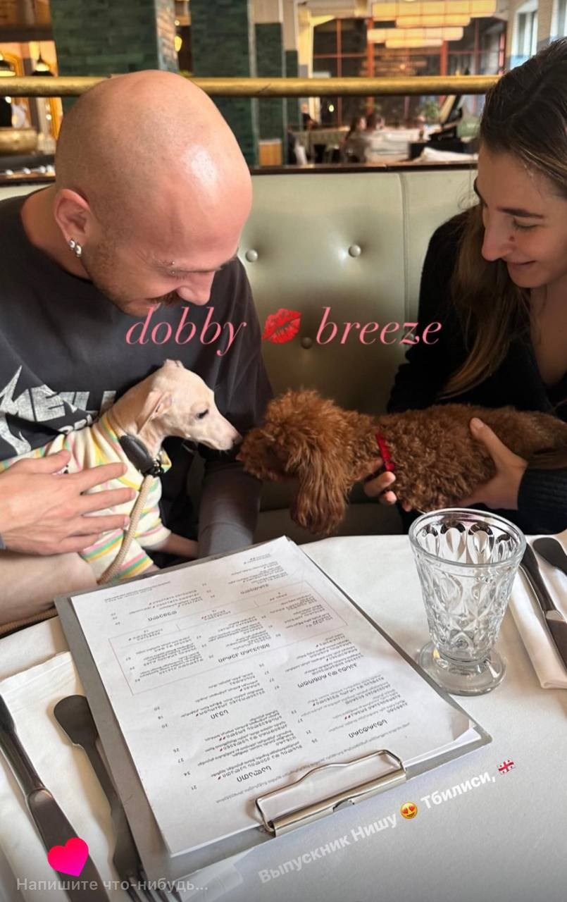 Welcome. Профессиональный питомник левреток РКФ/FCI ASTI SAPPHIRE 💎 Сочи|Санкт-Петербург