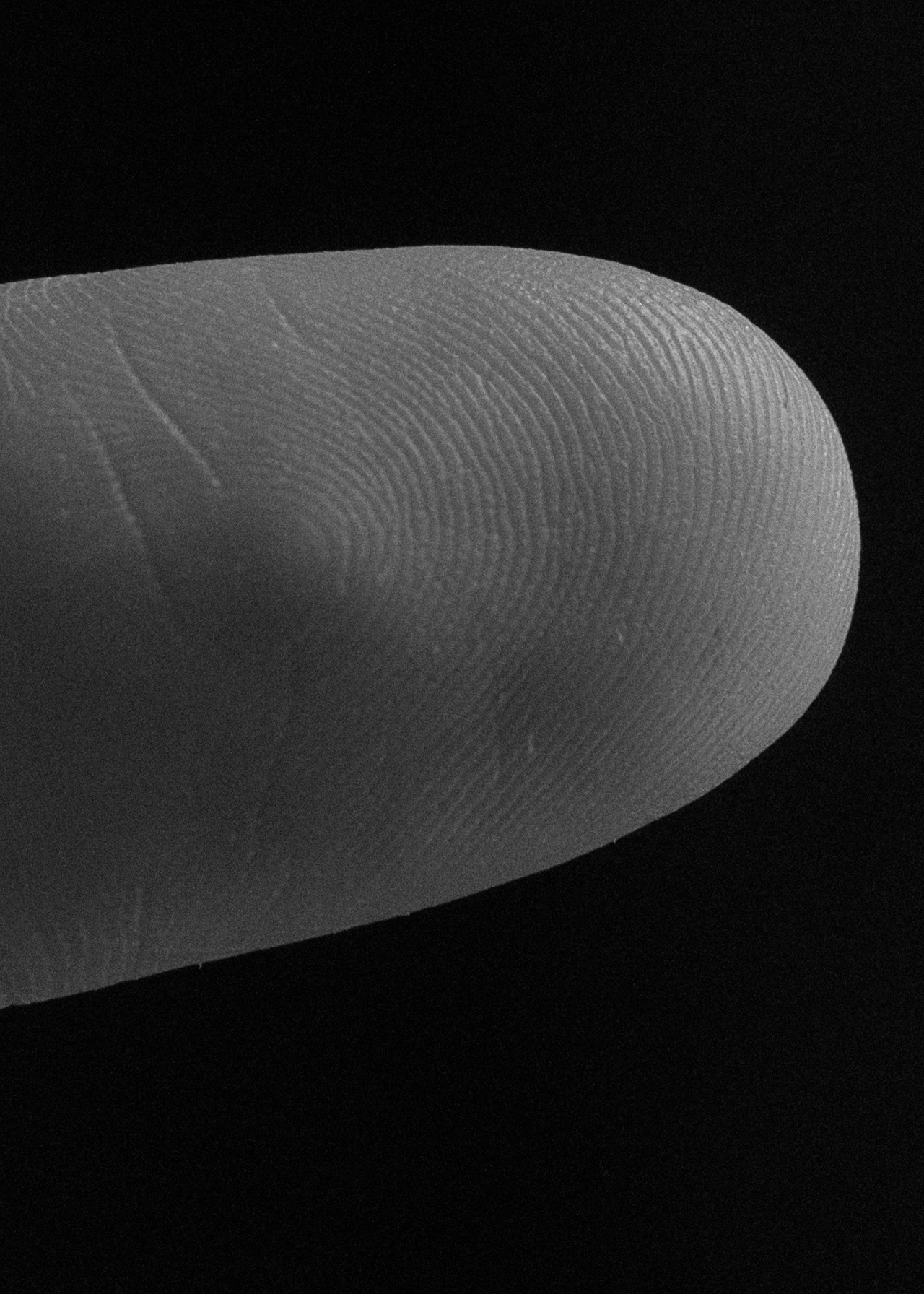 Кожа, в которой я живу. Фотограф в Омске Екатерина Павлова