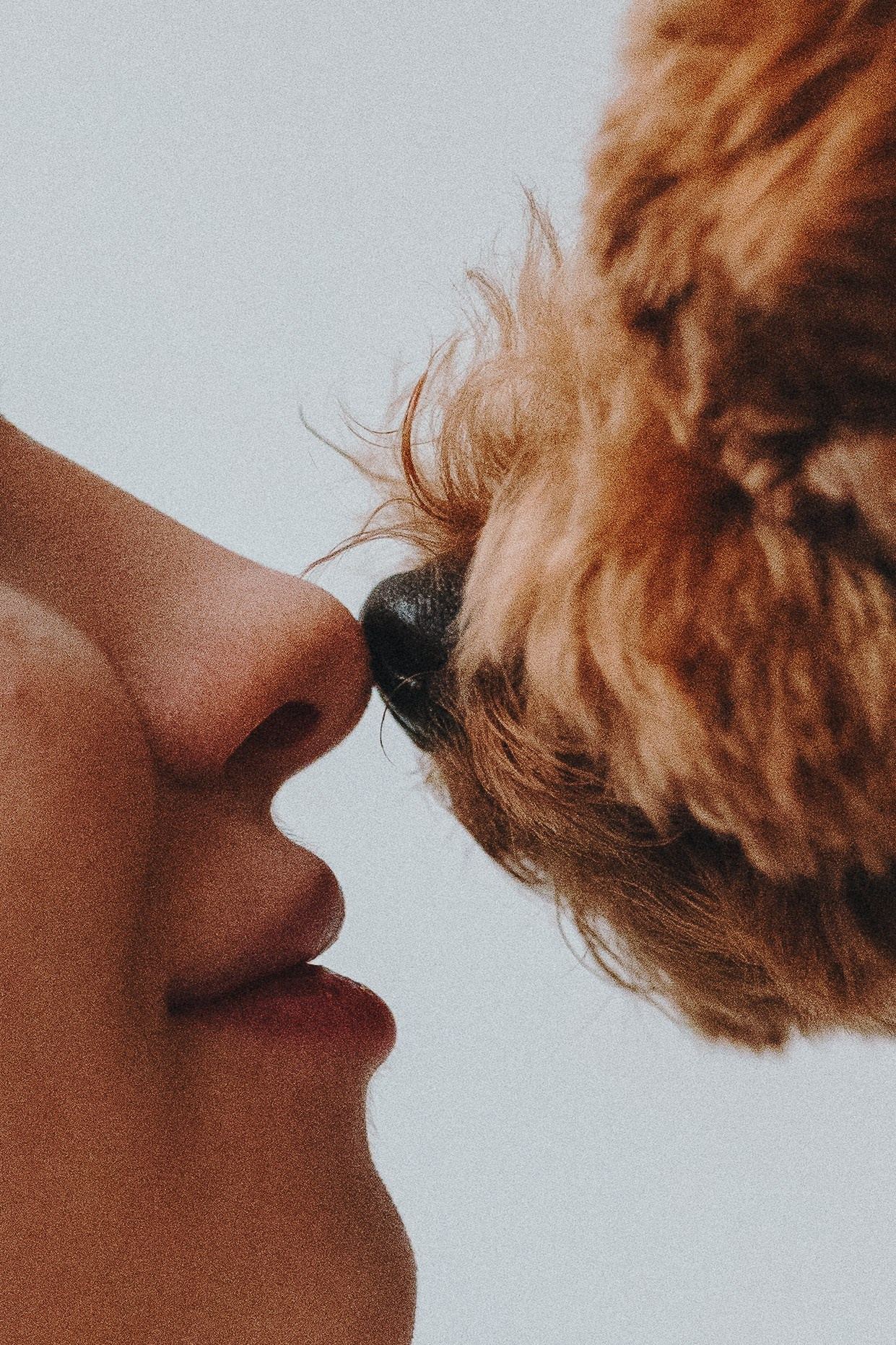 Alena & Marsel. Natalia Finch Photography — Family, Kids & Pet Photographer in Chicago, IL