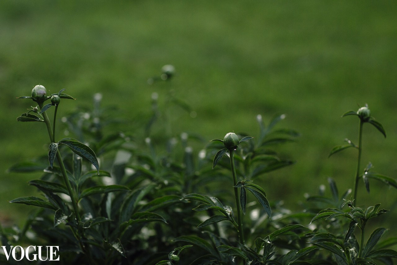 Мои работы в журнале VOGUE. Свадебный и портретный фотограф в Санкт-Петербурге