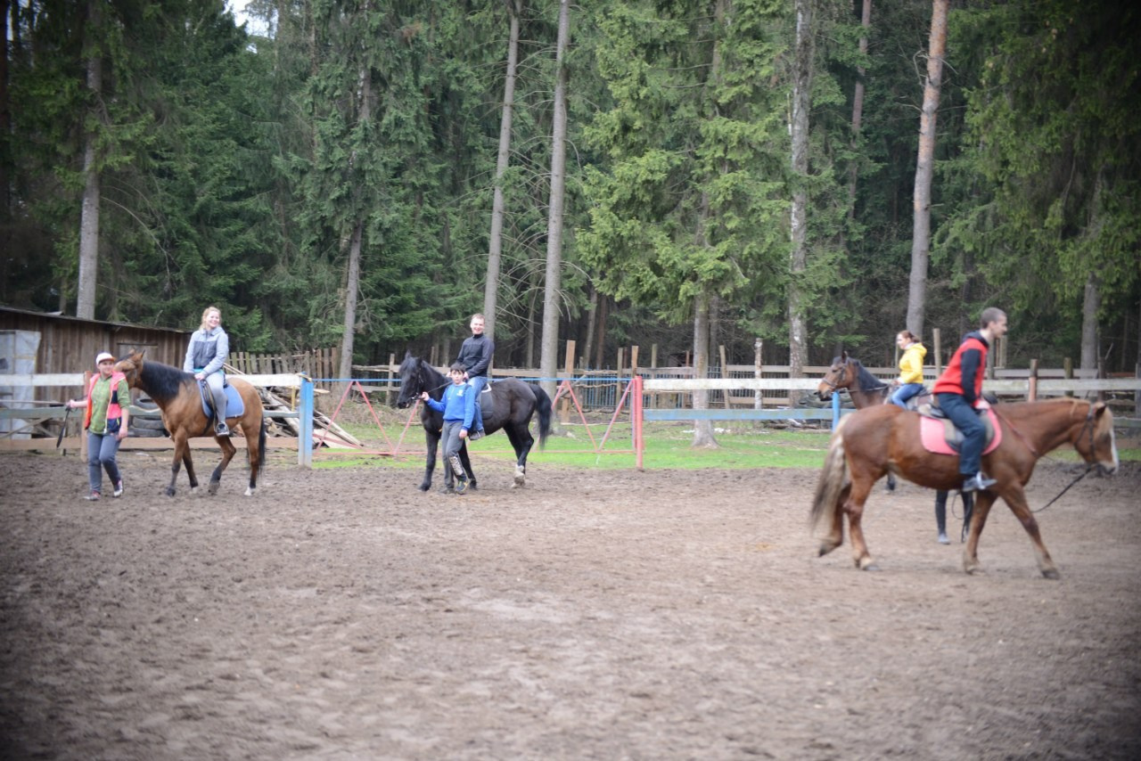 Лошадинг | 01.05.2015. Галерея Фантим