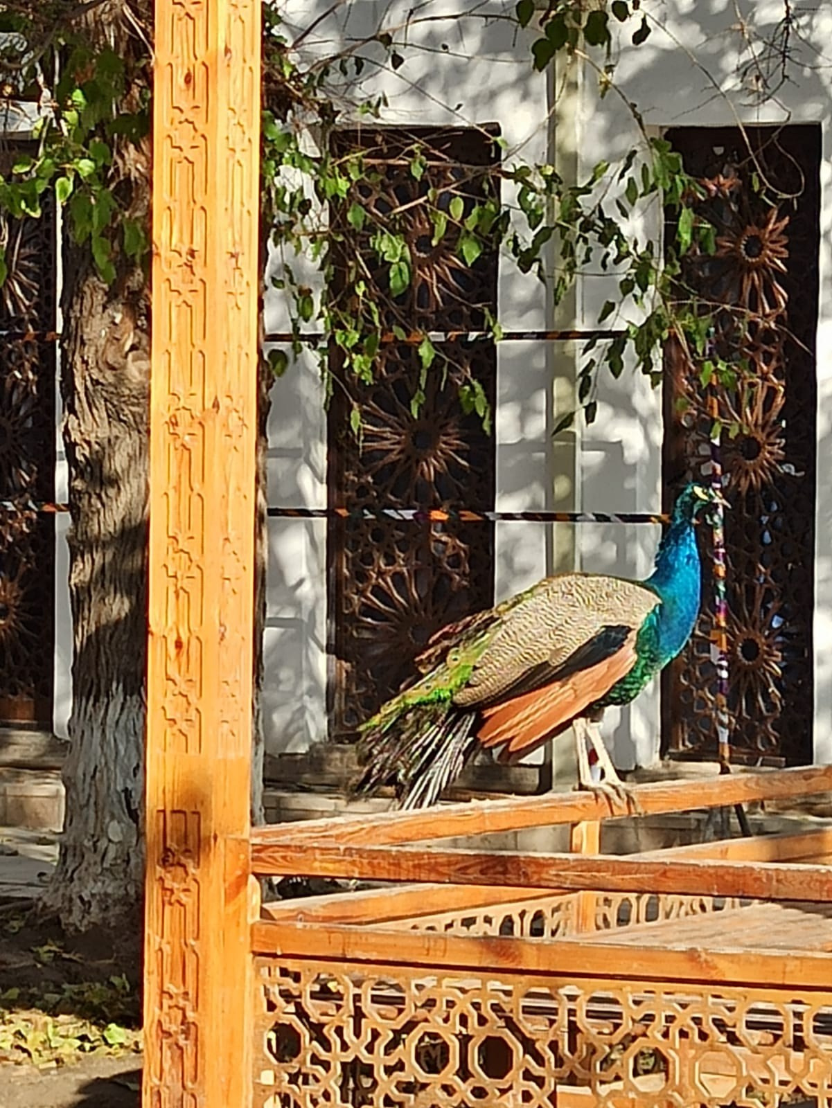 Сказочный Узбекистан | 14 — 17.11.2024. Галерея Фантим