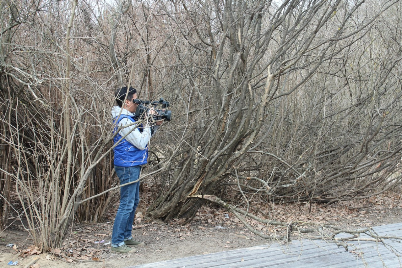 Шашлычинг | 09.04.2016. Галерея Фантим