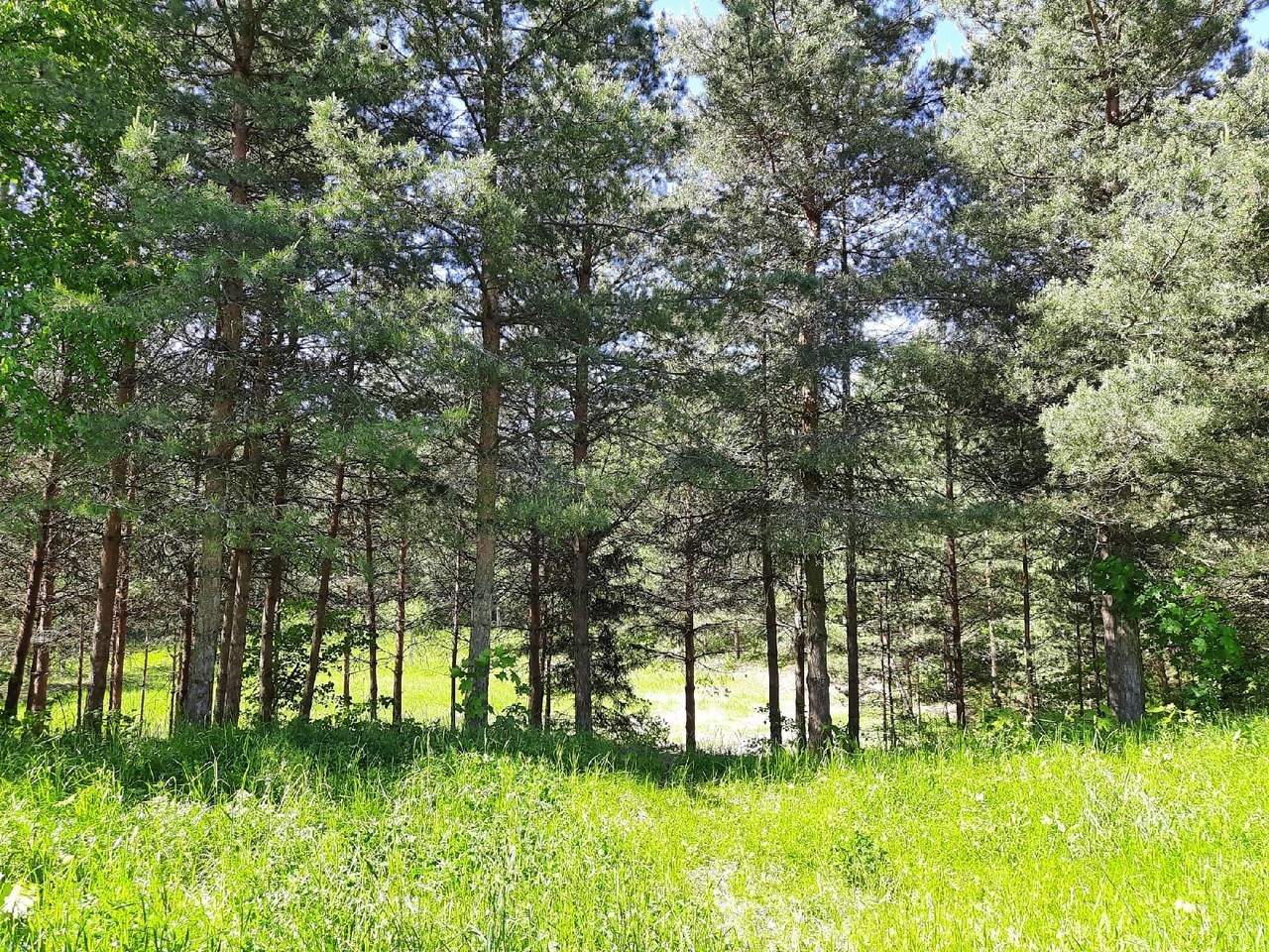 Пятница! | 2021. Галерея Фантим