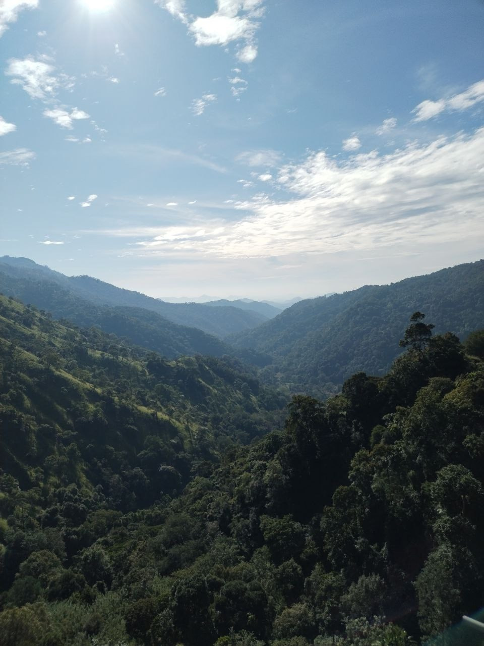 Шри-Ланка | 31.01 — 10.02.2025. Галерея Фантим