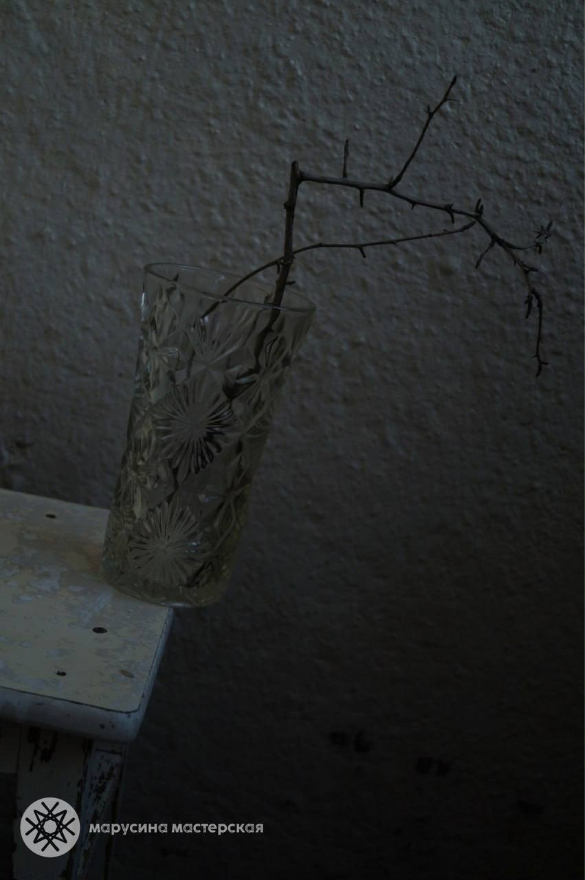 Елена Миронова