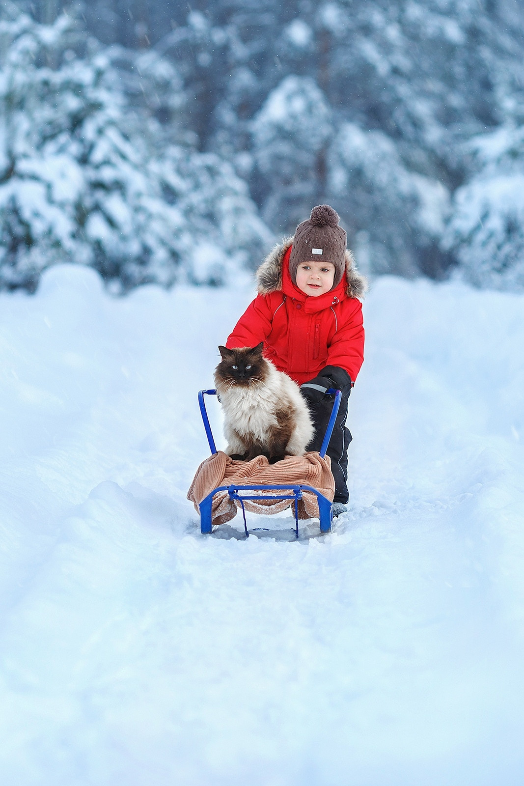 Детские фотосессии. Детский и семейный фотограф в Пензе Лена бешенова
