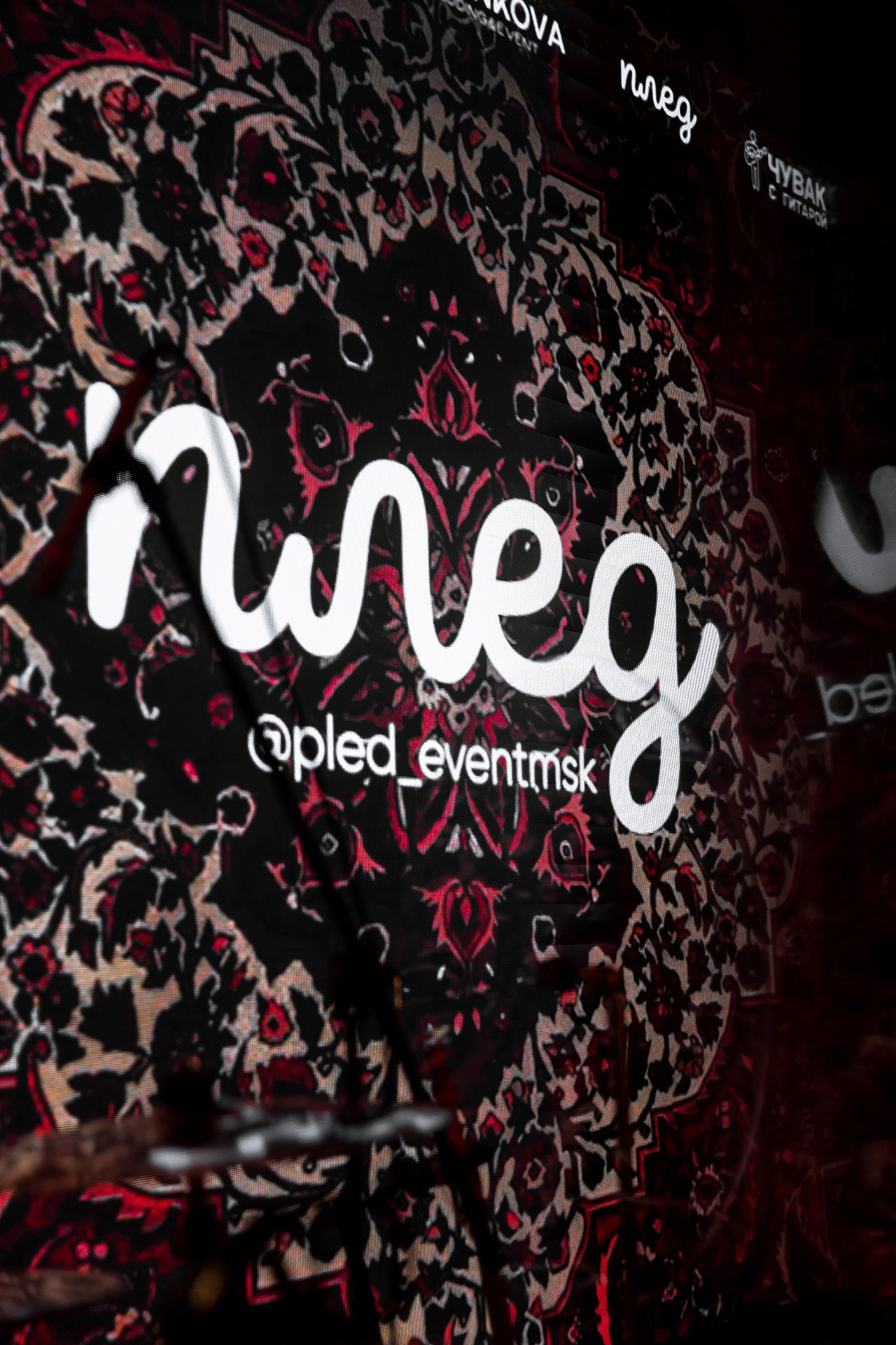 «Плед» Квартирник. Katerina Schastlivaya