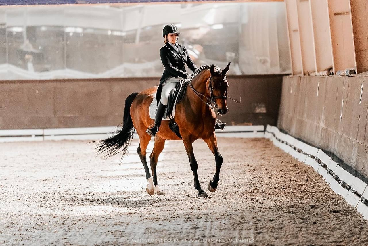 ВЕСЕННИЙ КУБОК КСК «УРОЖАЙ» по ВЫЕЗДКЕ на призы ФСОП «РОССИЯ», II этап. Конный фотограф Куракина Дарья • Фотосессии с лошадьми