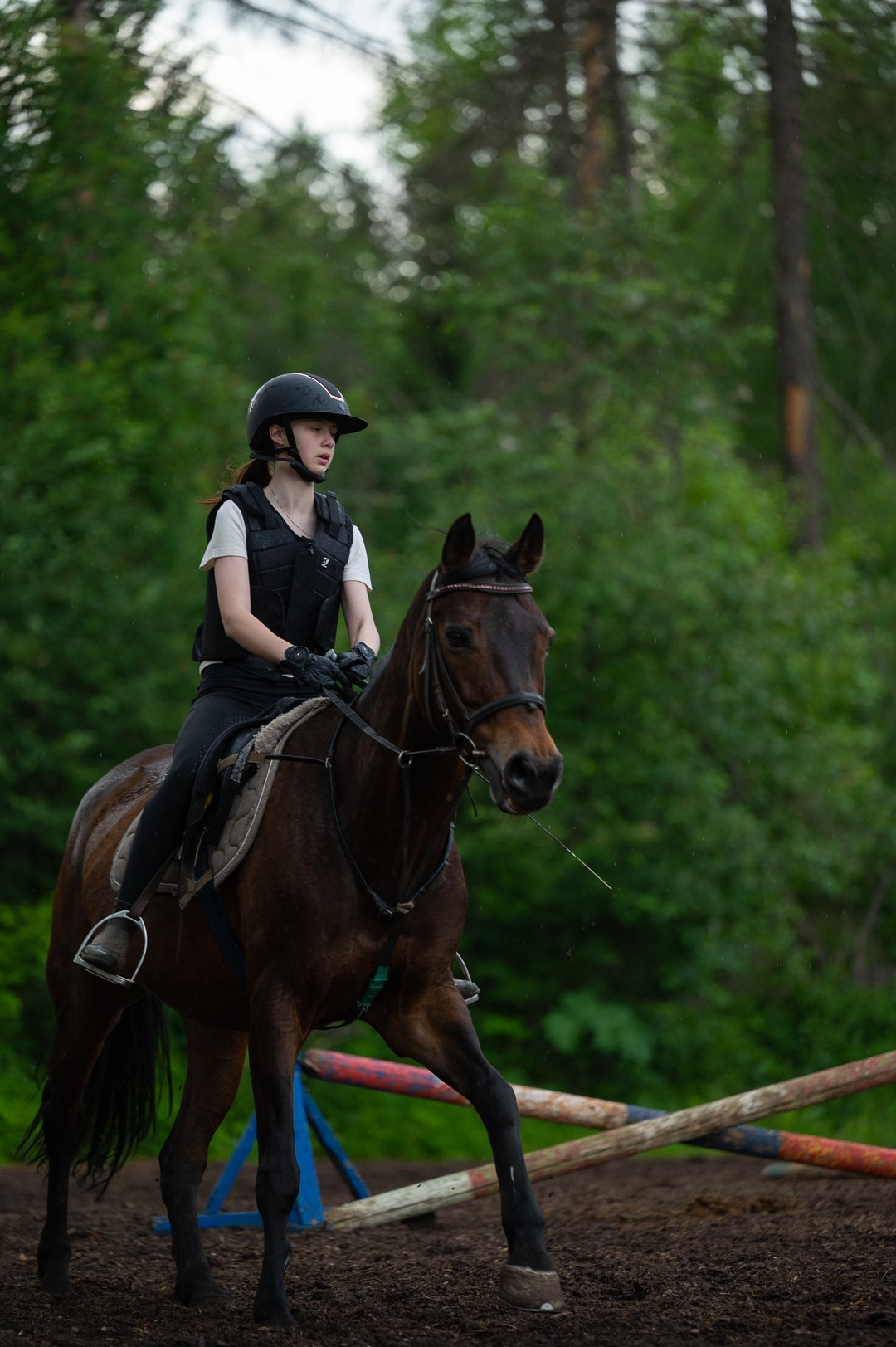 Конюшня. Мир живой фотографии о Вас и для Вас