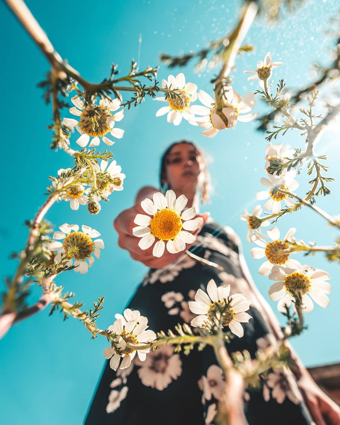 Jordi Koalitics. OneSnap