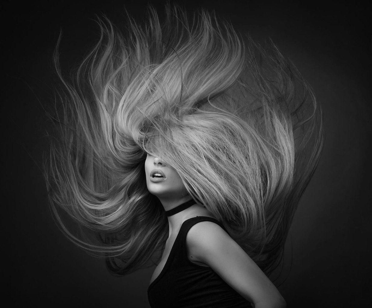 Joachim Bergauer. OneSnap