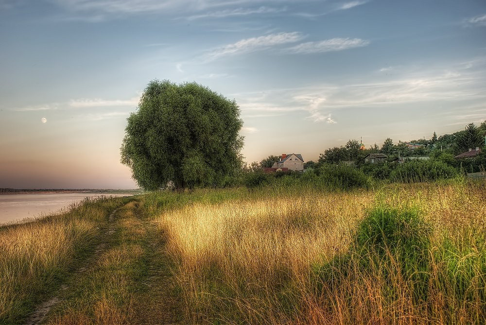 Сергей Комаров. OneSnap