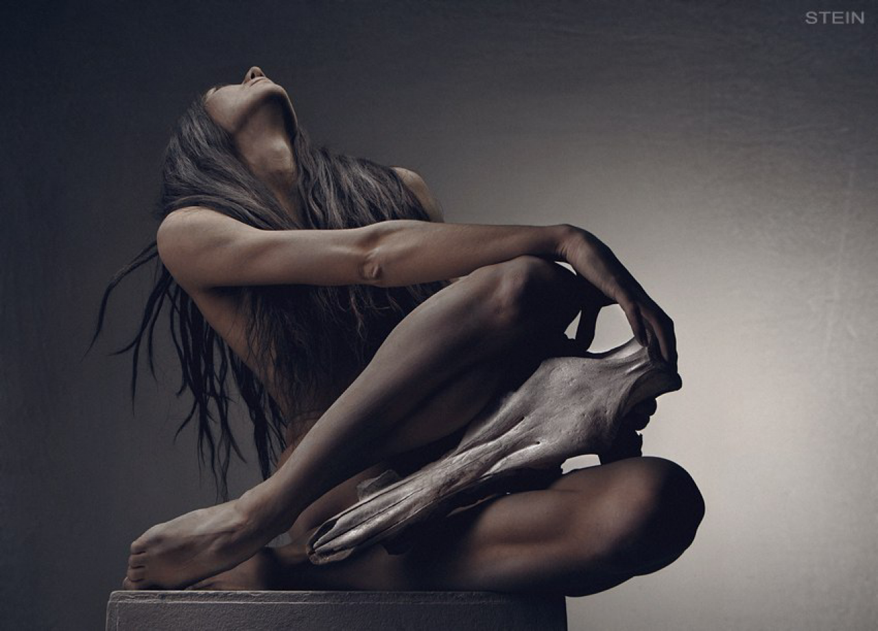 Вадим Штейн. OneSnap