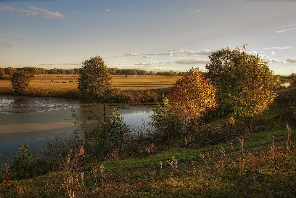 Сергей Комаров. OneSnap