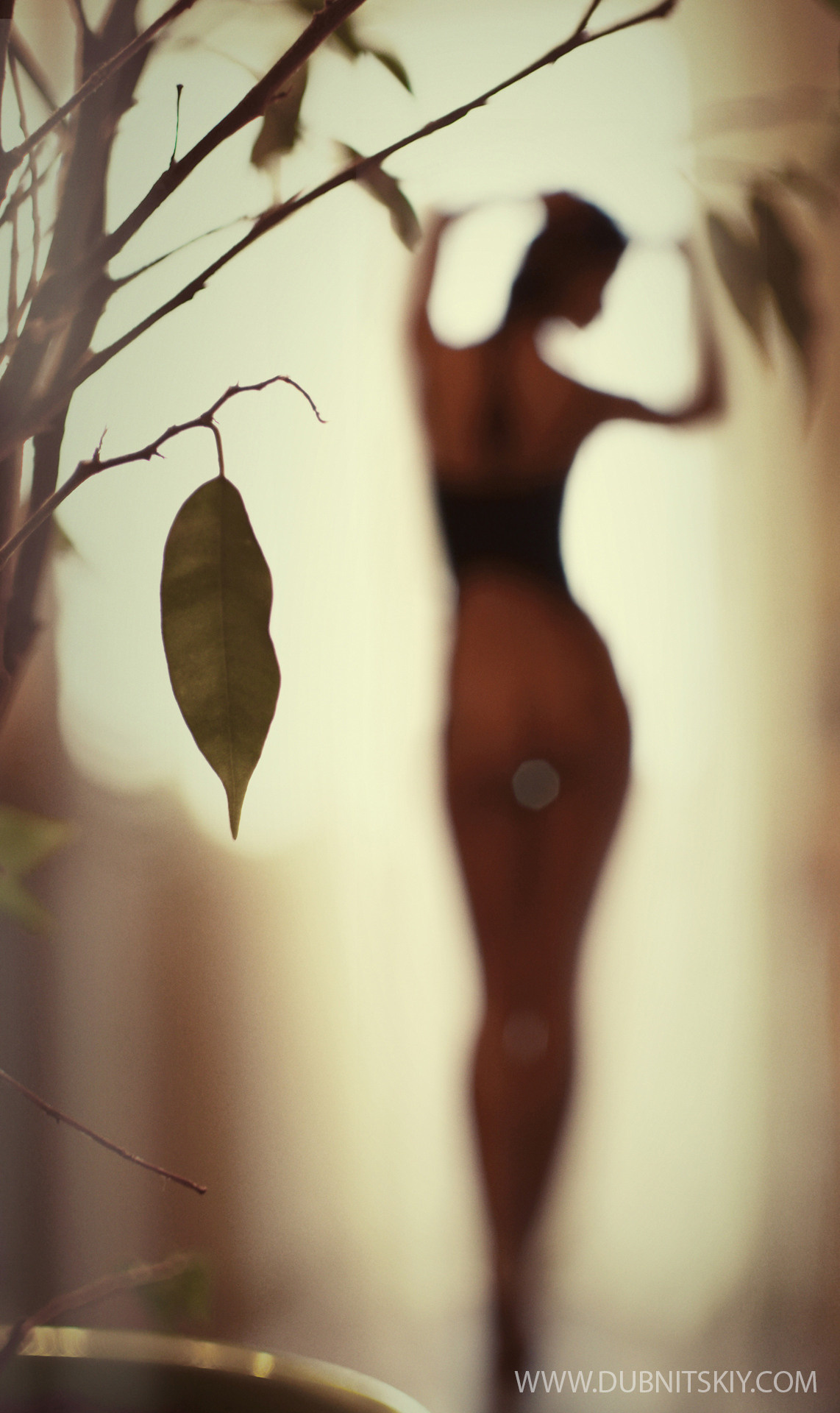 Давид Дубницкий. OneSnap