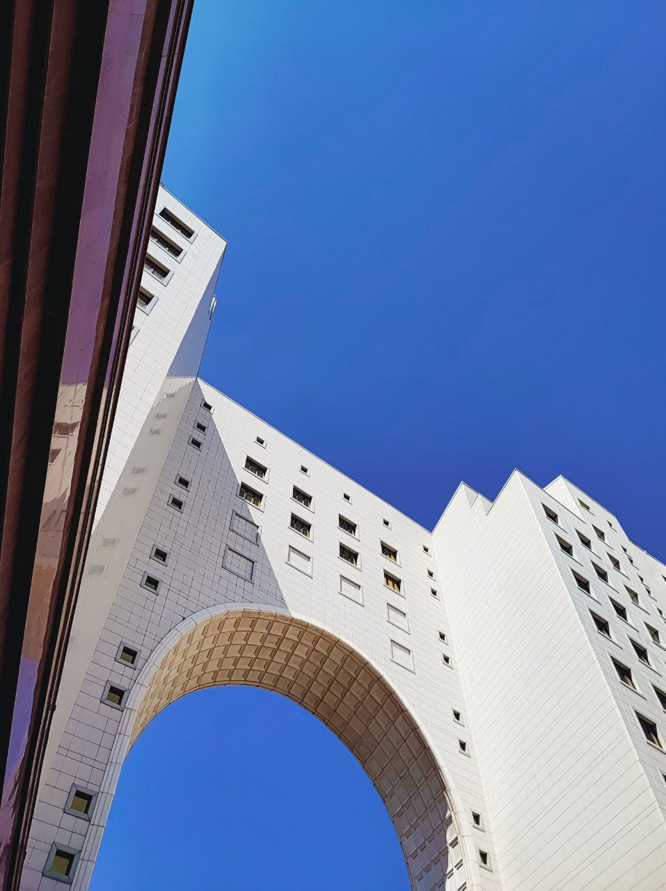 Намобилкус казахский. Репортажный фотограф Алексей Пирязев