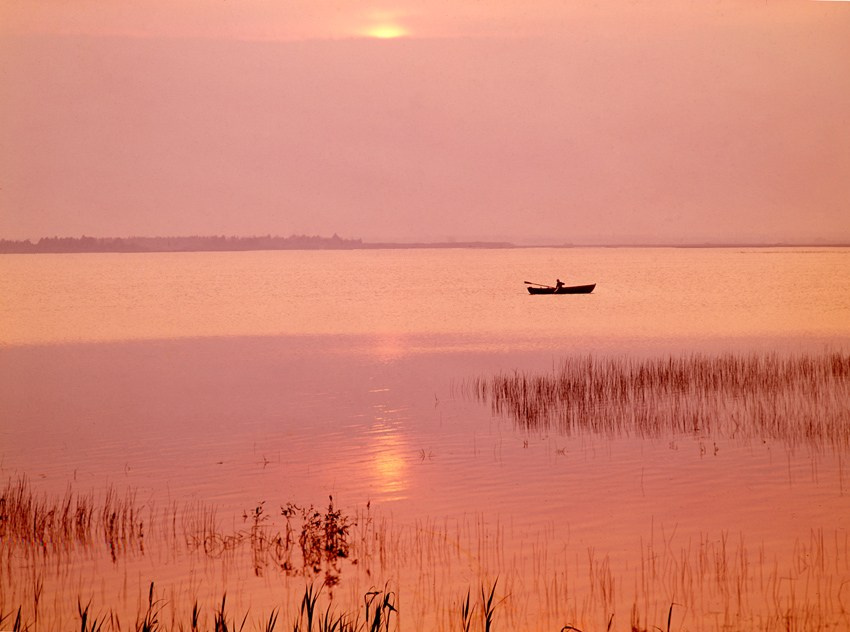 Лето. ВАДИМ ГИППЕНРЕЙТЕР — ВЕЛИКИЙ ФОТОГРАФ ЗЕМЛИ РУССКОЙ