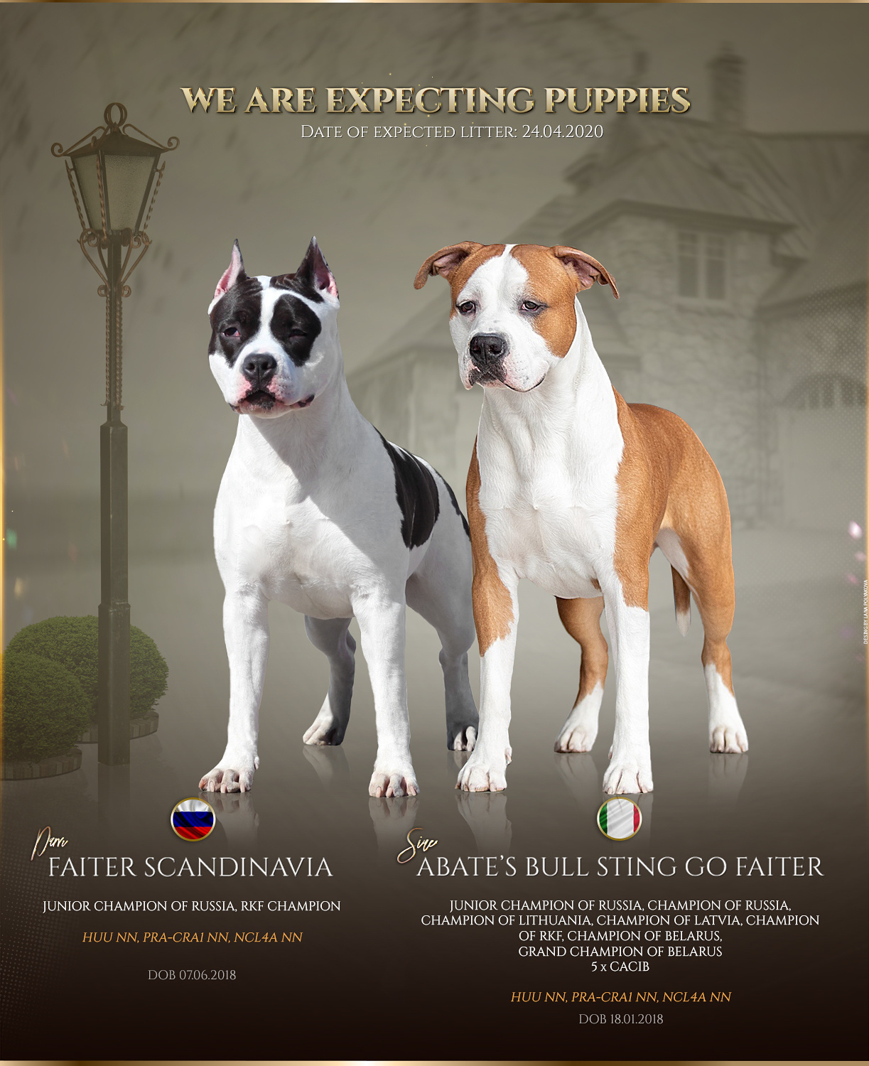 Презентация помета аст