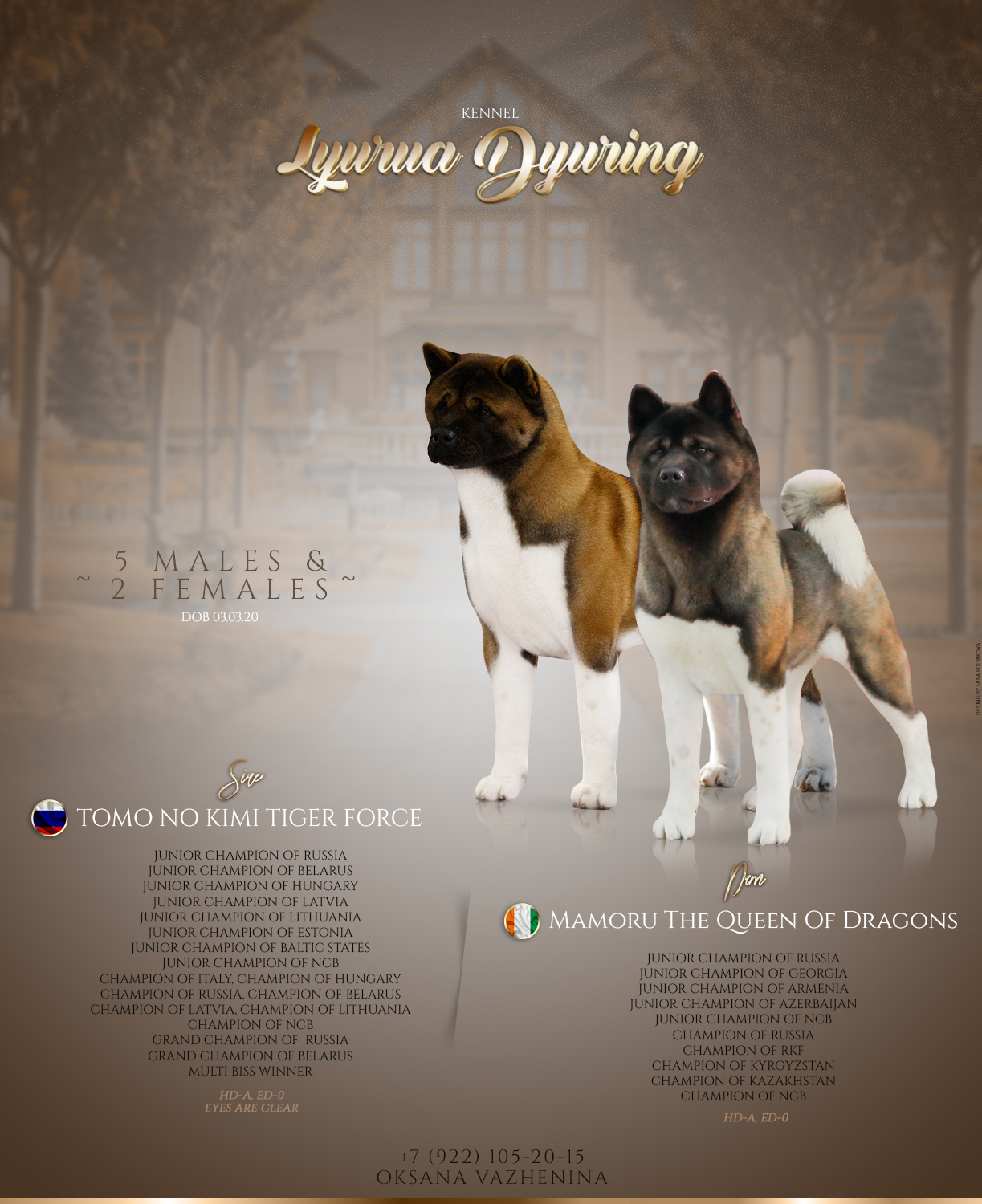 Презентация помета американских акит