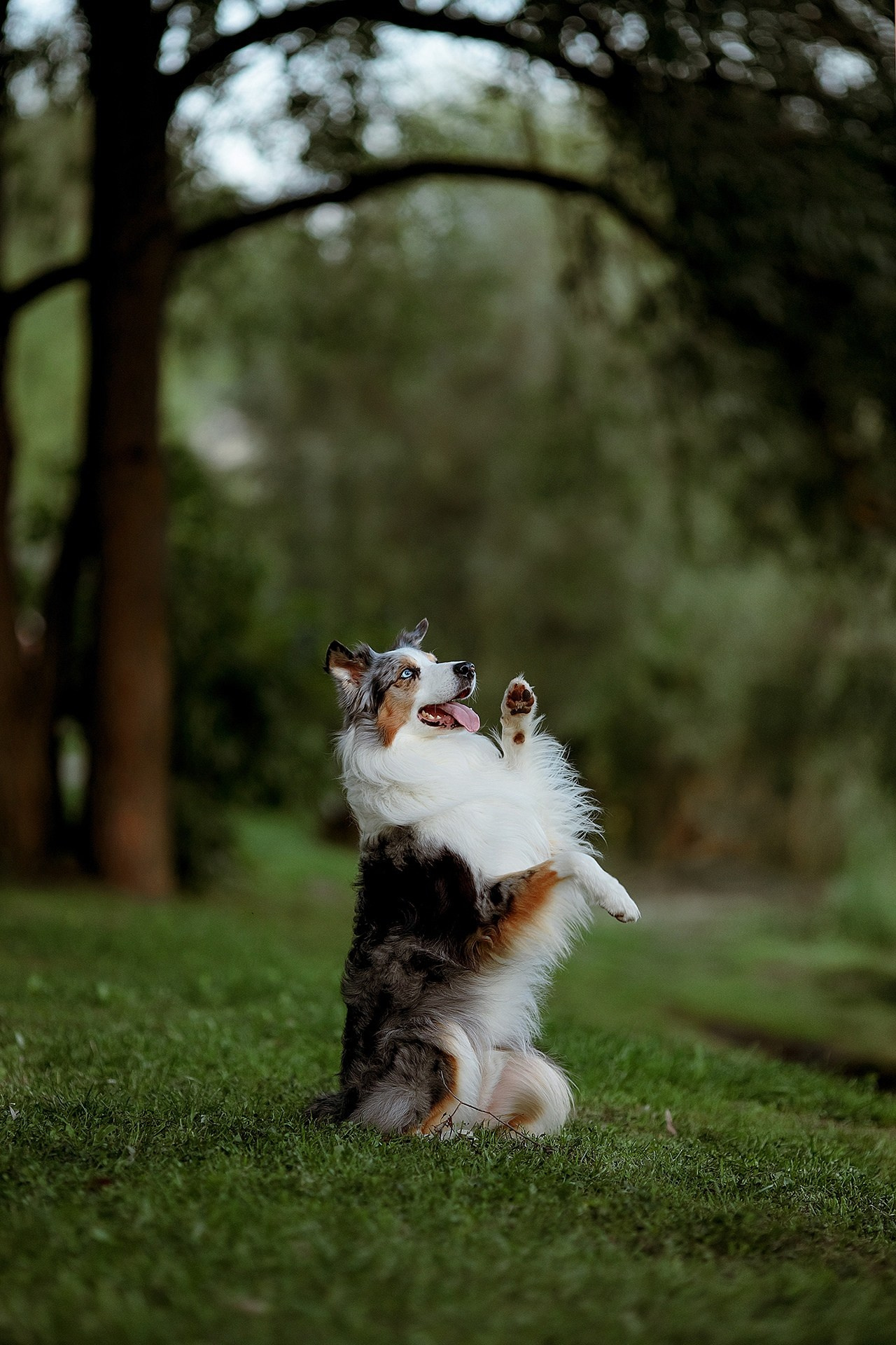 Дети. Фотограф Александр Калинин